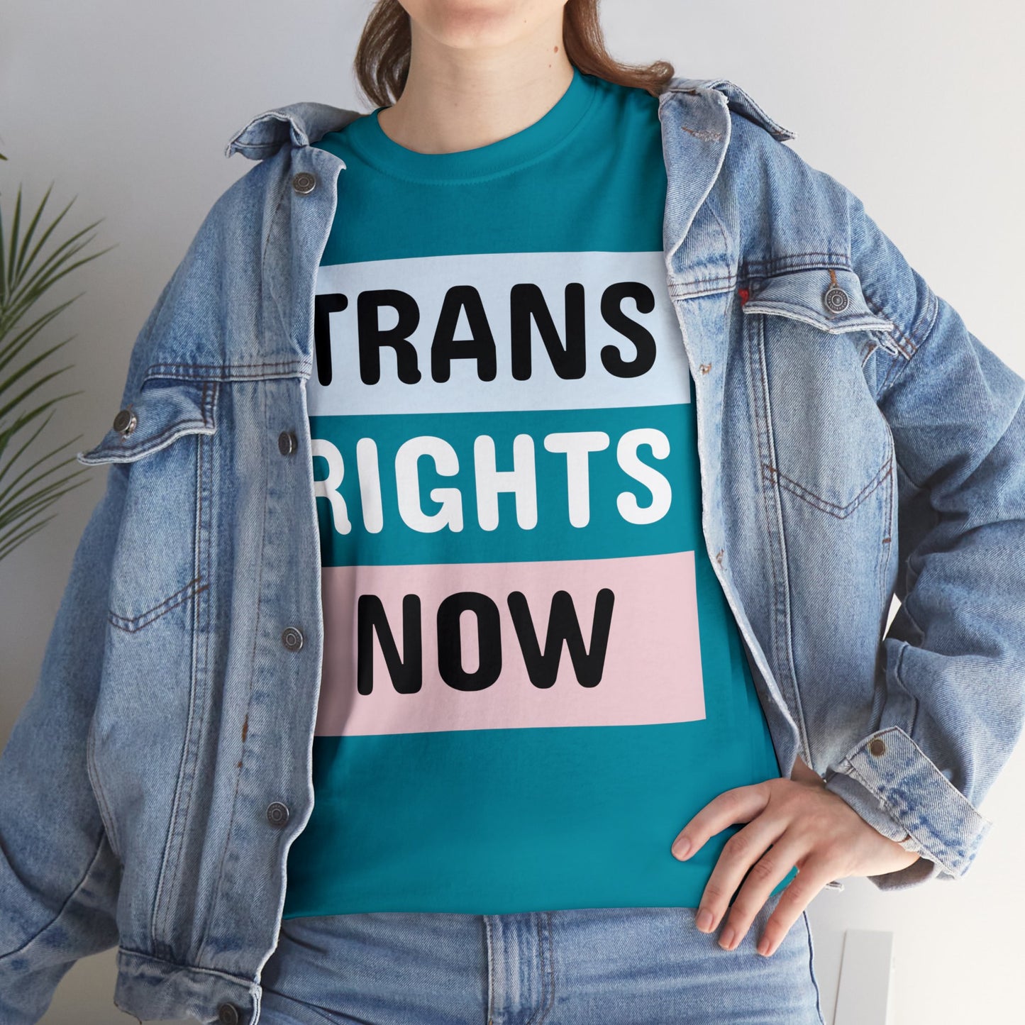 TRANS RIGHTS NOW Cotton Tee