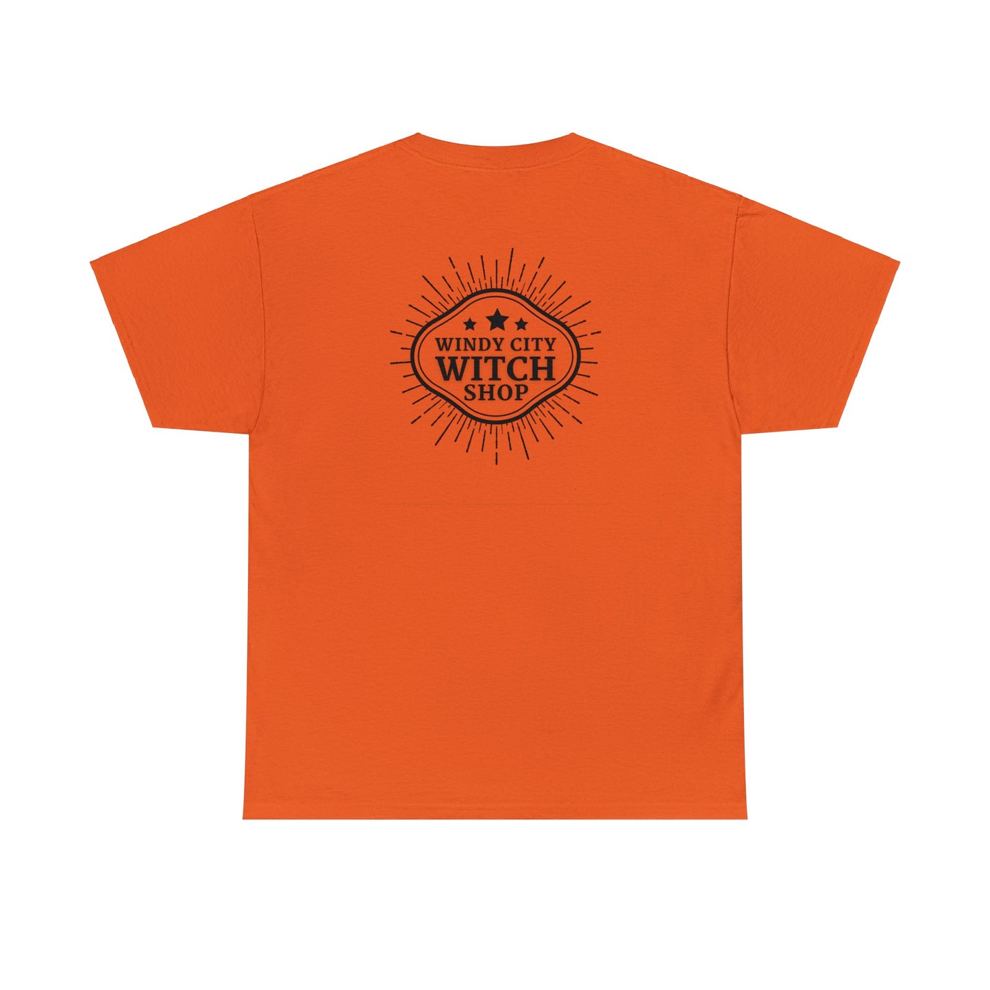 Witchy Woman Cat t-shirt