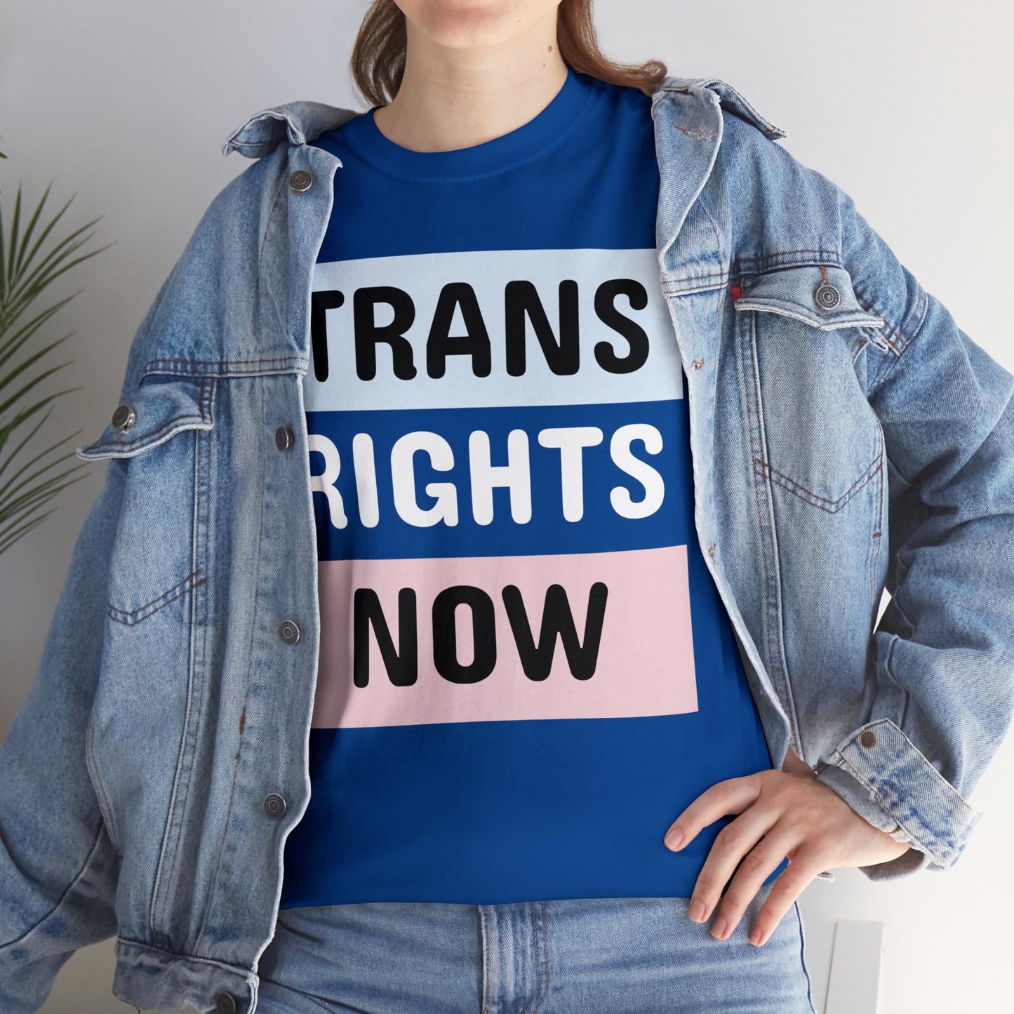TRANS RIGHTS NOW Cotton Tee